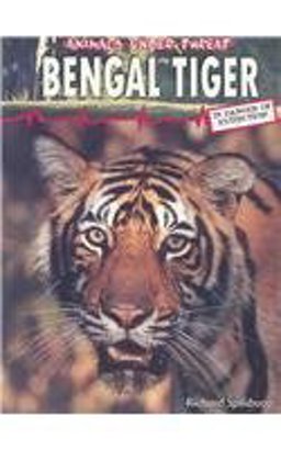 The Bengal Tiger