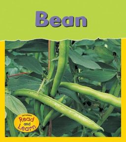 Bean