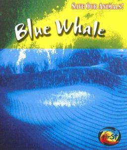 Blue Whale