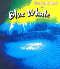 Blue Whale