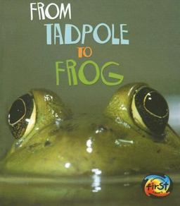 From Tadpole to Frog