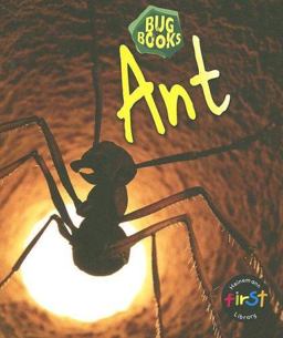 Ant
