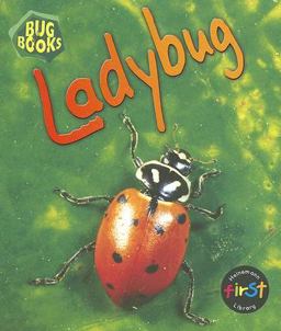 Ladybug