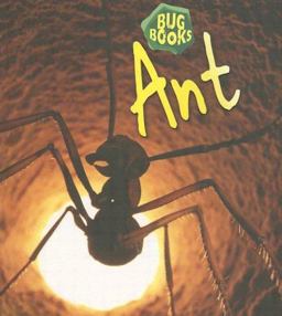Ant