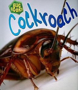 Cockroach