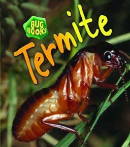 Termite