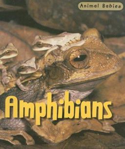 Amphibians