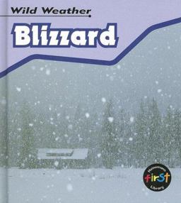 Blizzard