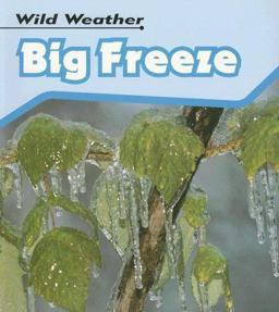 Big Freeze