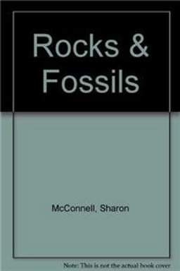 Rocks and Fossils