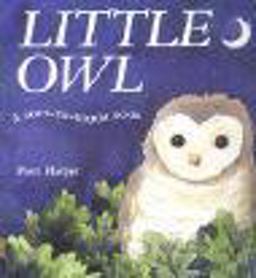 Little Owl