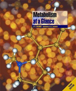 Metabolism 3rd 9781405107167 Front Cover