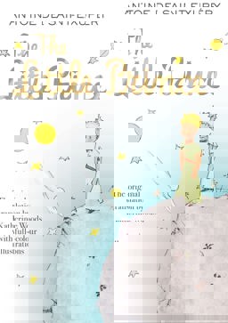 Little Prince  9781405288194 Front Cover