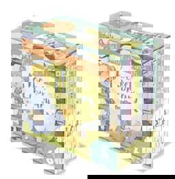 Winnie-The-Pooh Pocket Library  9781405289092 Front Cover