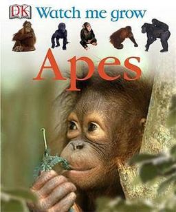 Apes