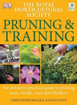 Pruning and Training