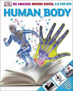 Human Body