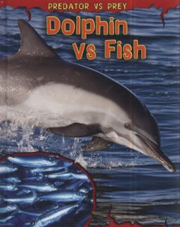 Dolphin vs Fish