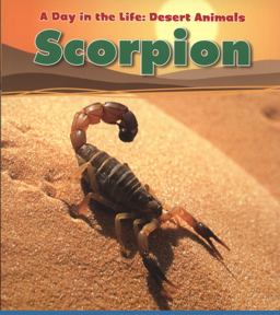 Scorpion