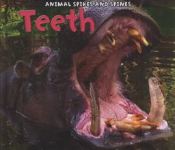 Teeth