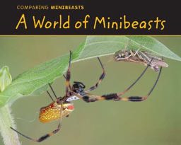 A World of Minibeasts