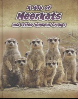A Mob of Meerkats