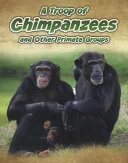 A Troop of Chimpanzees