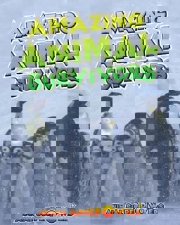 Amazing Animal Survivors