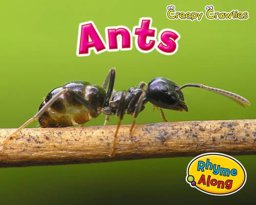 Ants