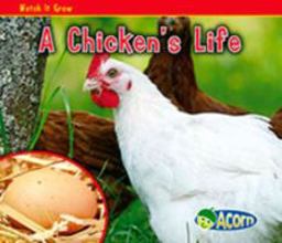 A Chicken's Life