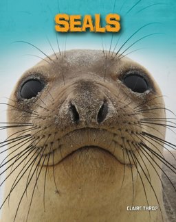 Seals