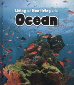 Living and Non-Living in the Ocean