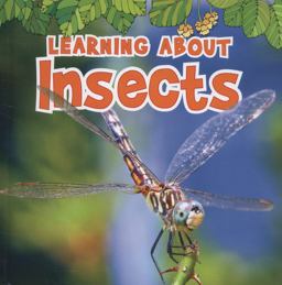 Learning about Insects