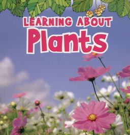 Learning about Plants