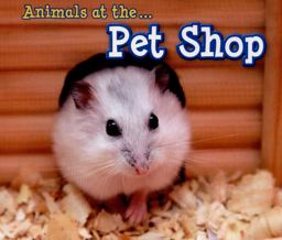 Animals at the Pet Shop