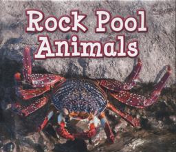 Rock Pool Animals