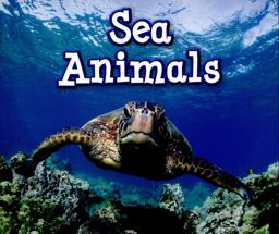 Sea Animals