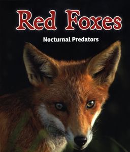 Red Foxes