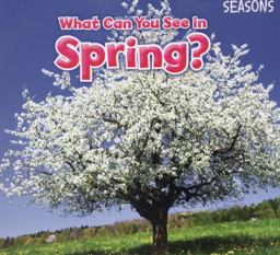 What Can You See in Spring?