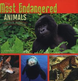 The Most Endangered Animals in the World