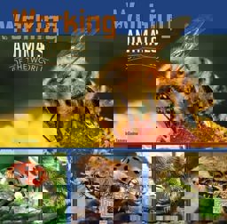 Working Animals of the World