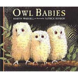Owl Babies