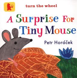 A Surprise for Tiny Mouse