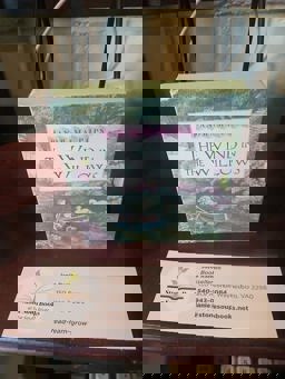 The Wind in the Willows Panorama Pop