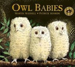 Owl Babies 25th Anniversary Edition Board Book 25th 9781406374377 Front Cover