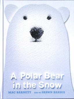 A Polar Bear in the Snow