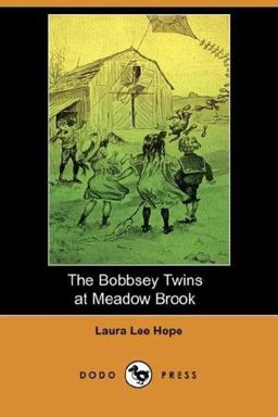 The Bobbsey Twins at Meadow Brook