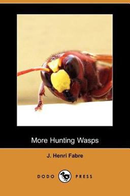 More Hunting Wasps