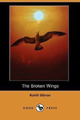 Broken Wings  9781406597806 Front Cover