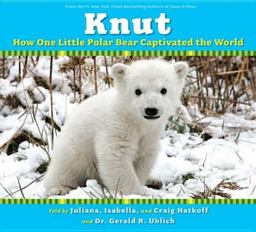 Knut Knut